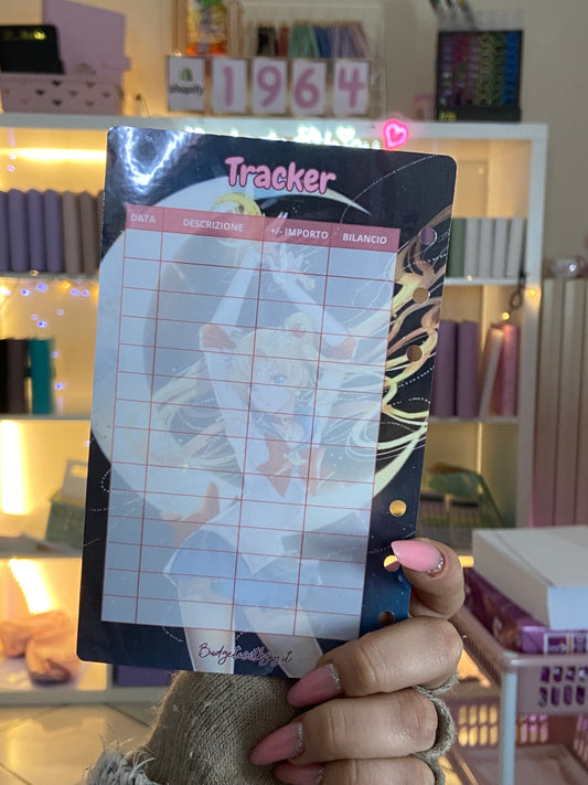 Sailor moon 55β¬