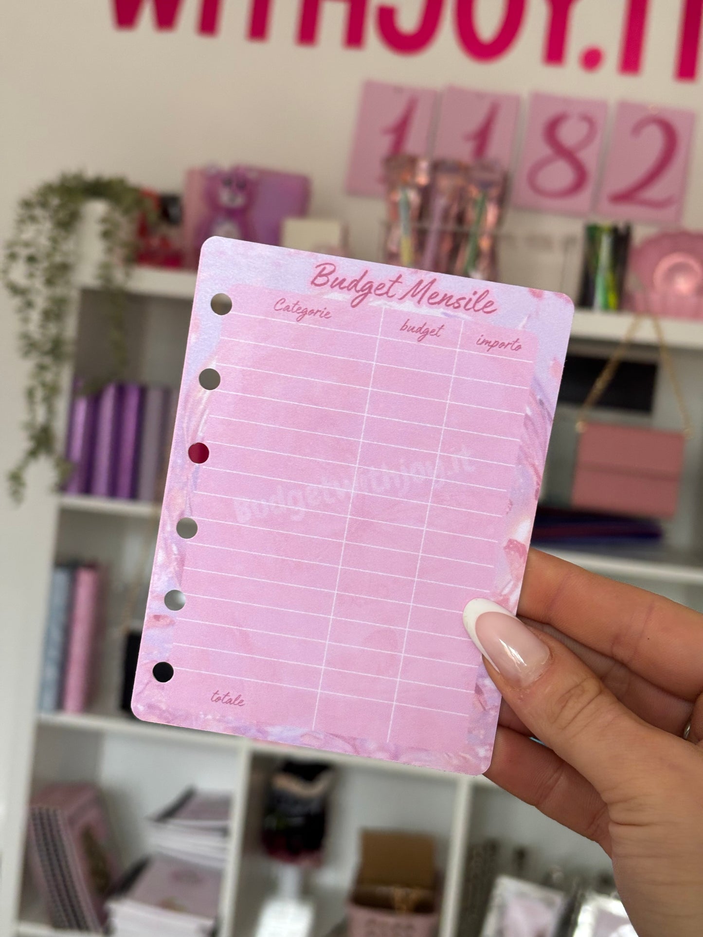 Budget mensile bolla farfalla