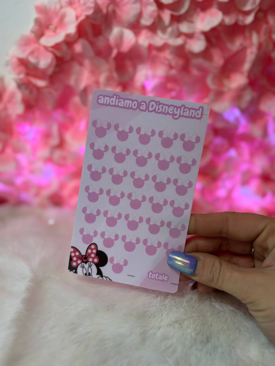 Andiamo a Disneyland 🥰