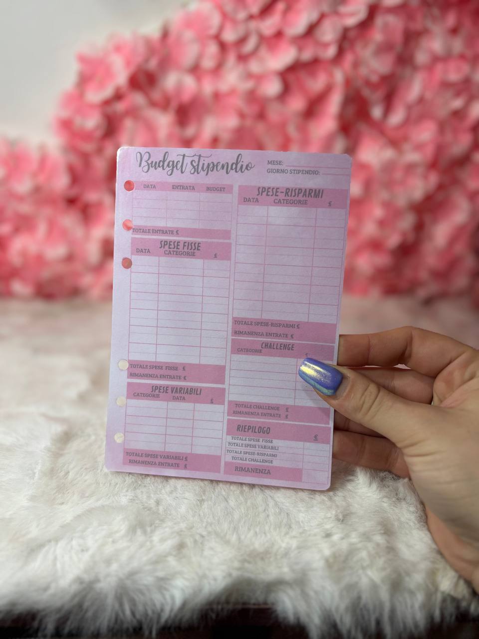 Budget Stipendio A6