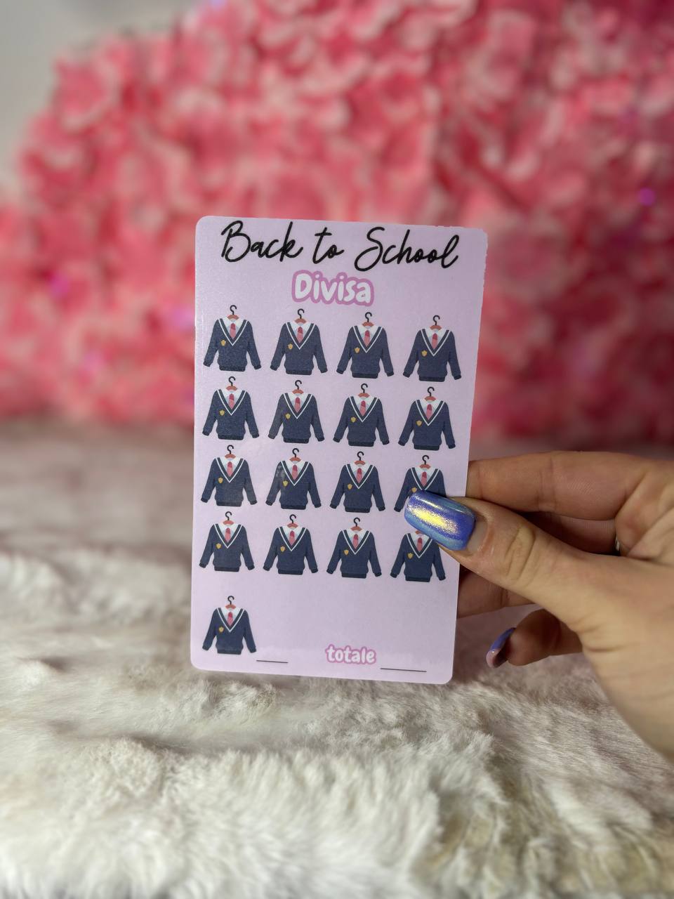 Back To School Divisa