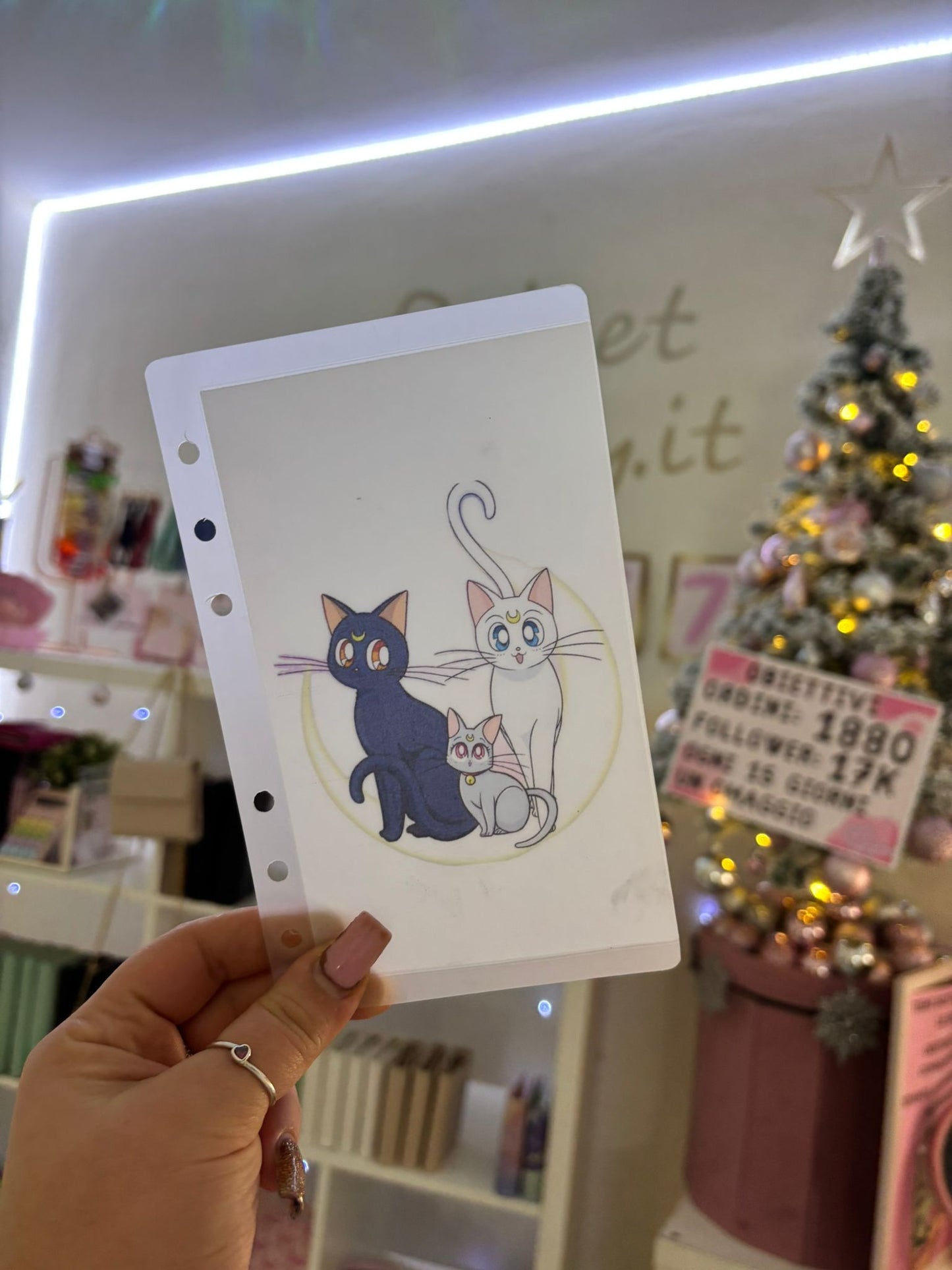 Sezione Opaca "Gatti Sailor Moon" A6 R.