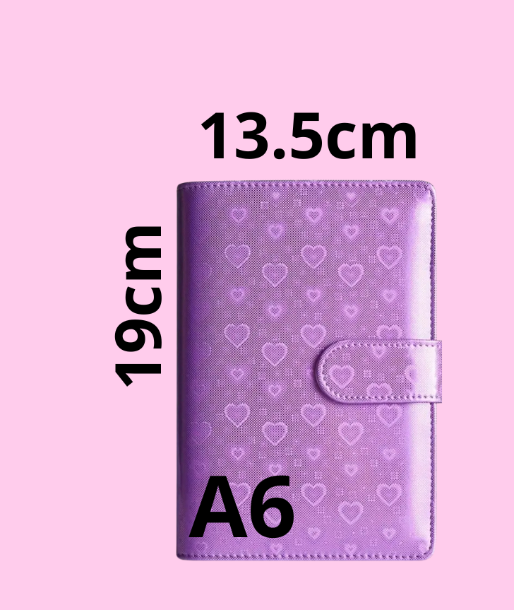 Agende A6