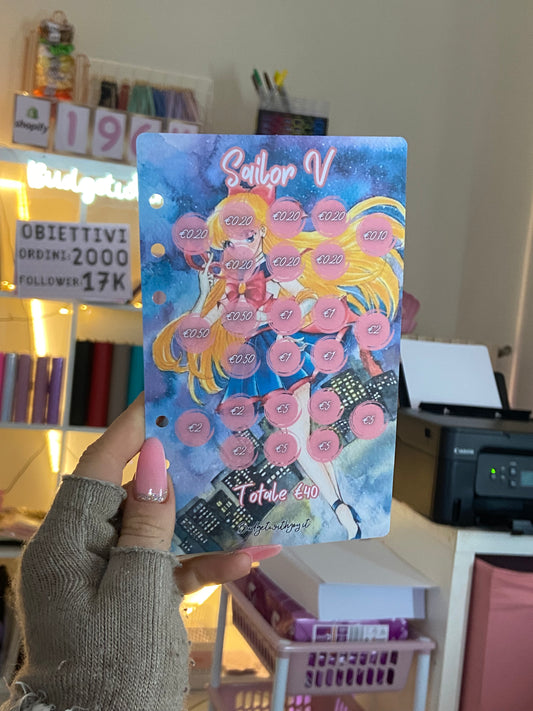 Sailor V €40