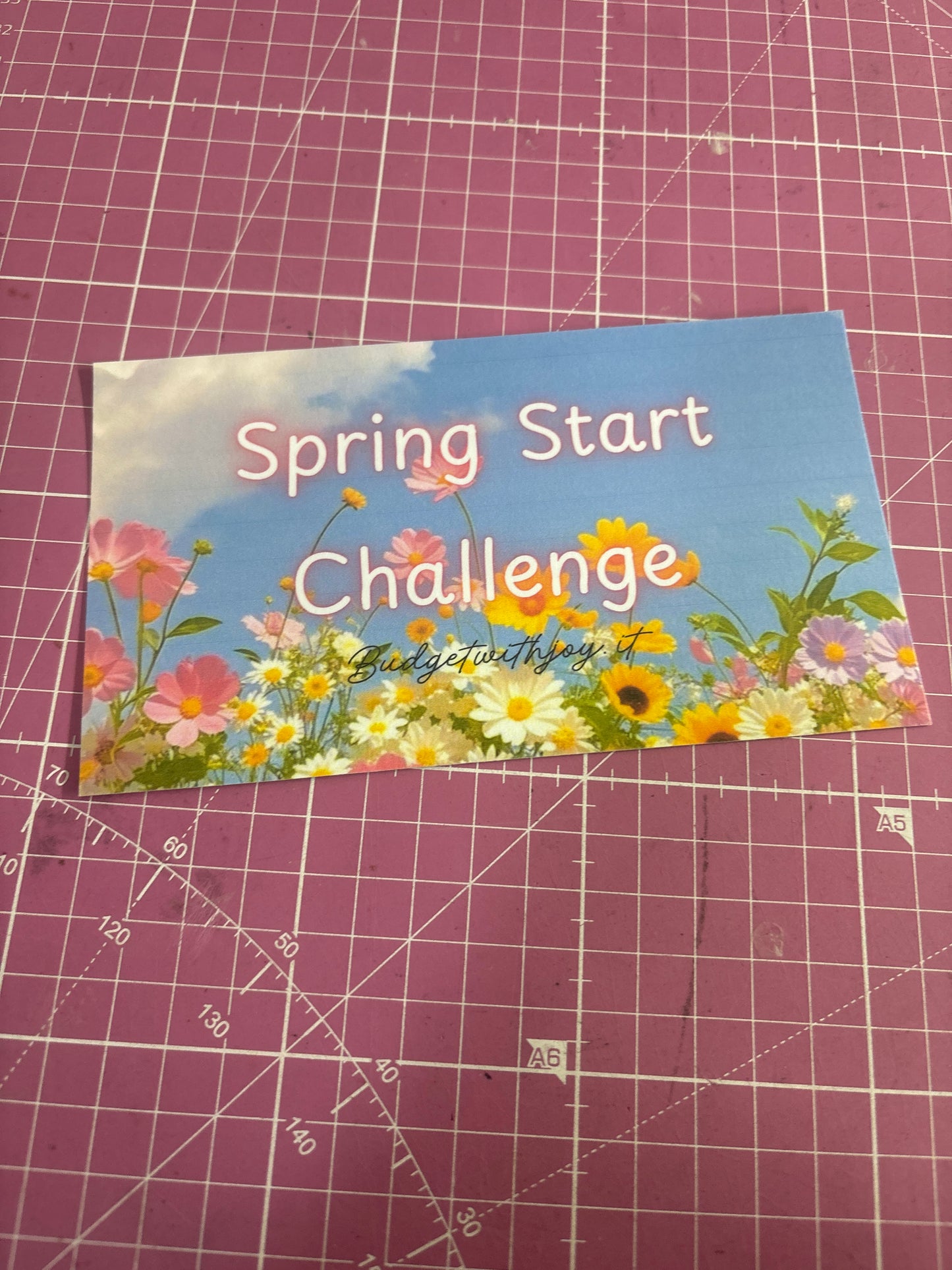 Cartoncino categoria spring start ric