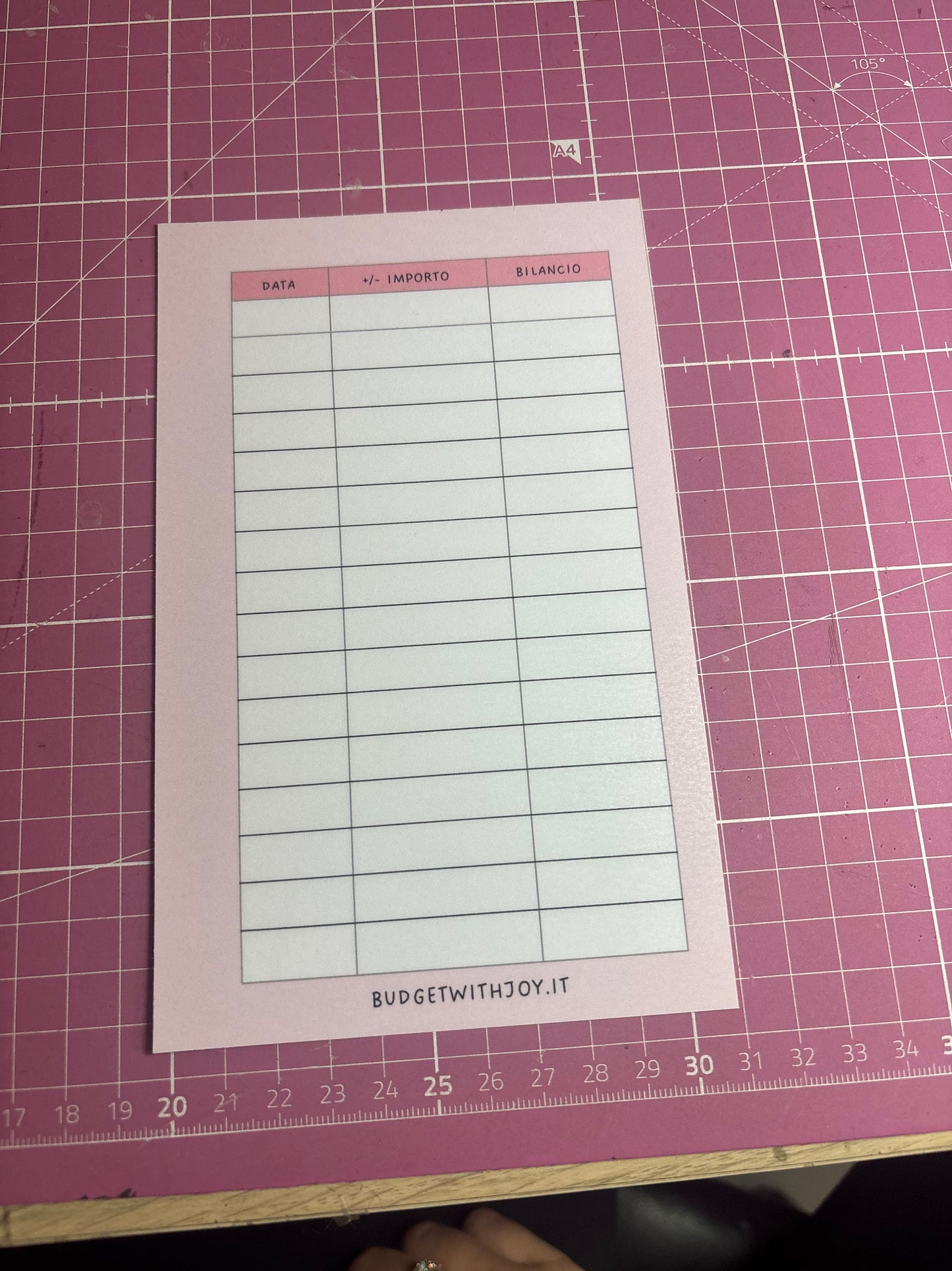 Budget sheet plastificato rosa a6 ric