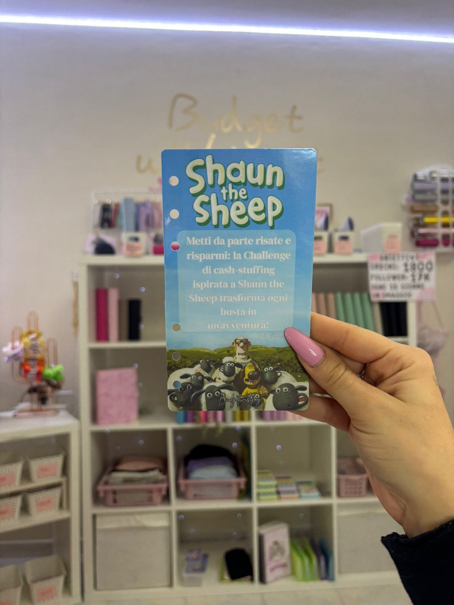 Set Shaun The Sheep A6