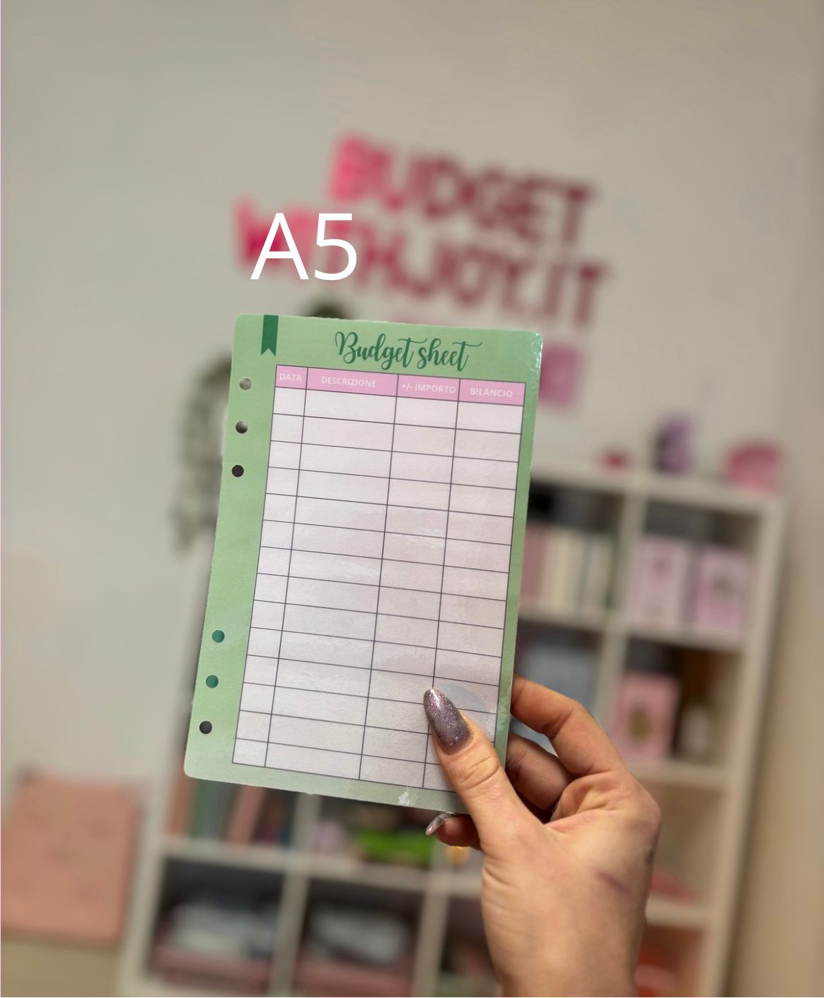 Budget Sheet/Tracker
