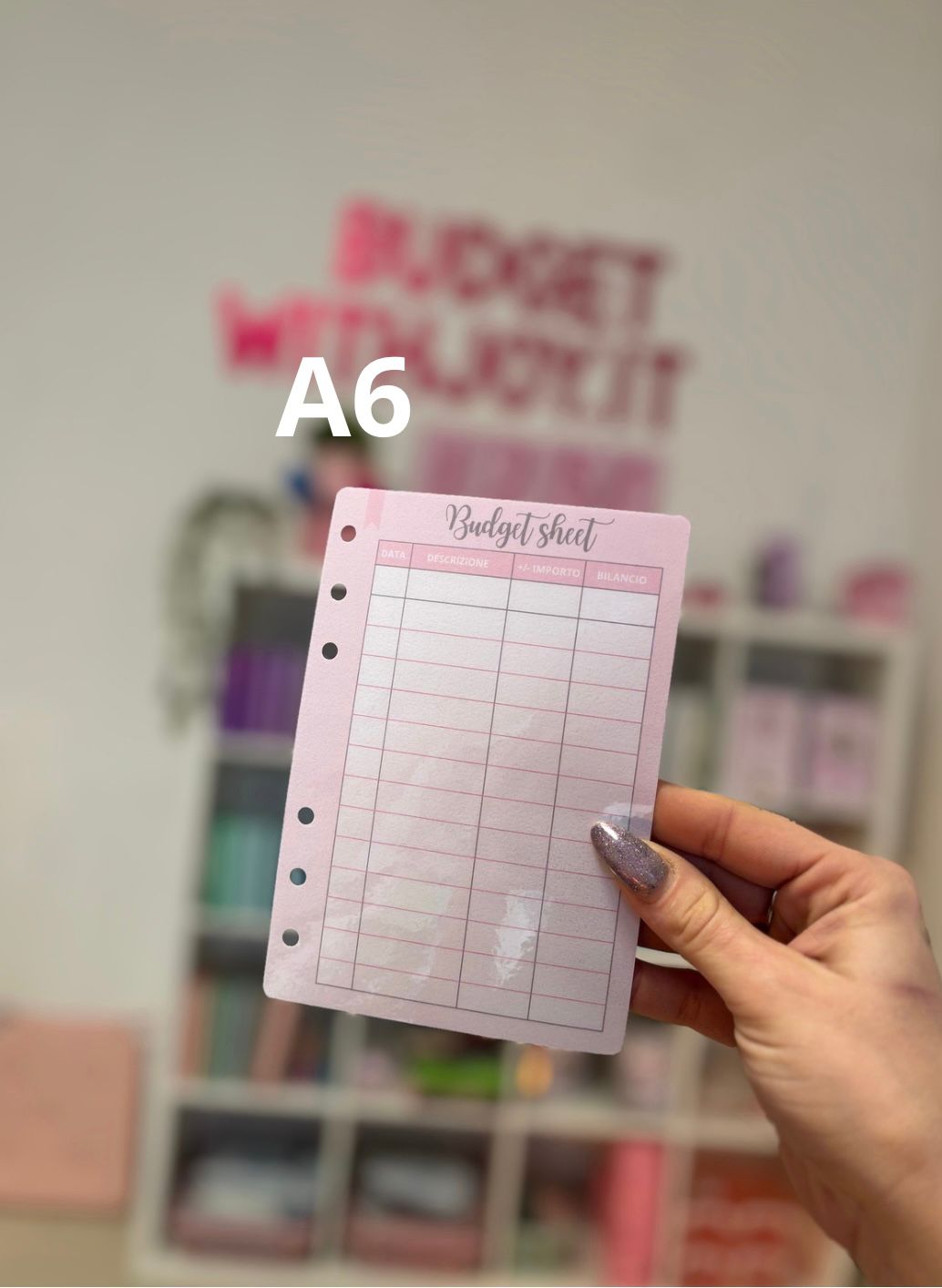 Budget Sheet/Tracker