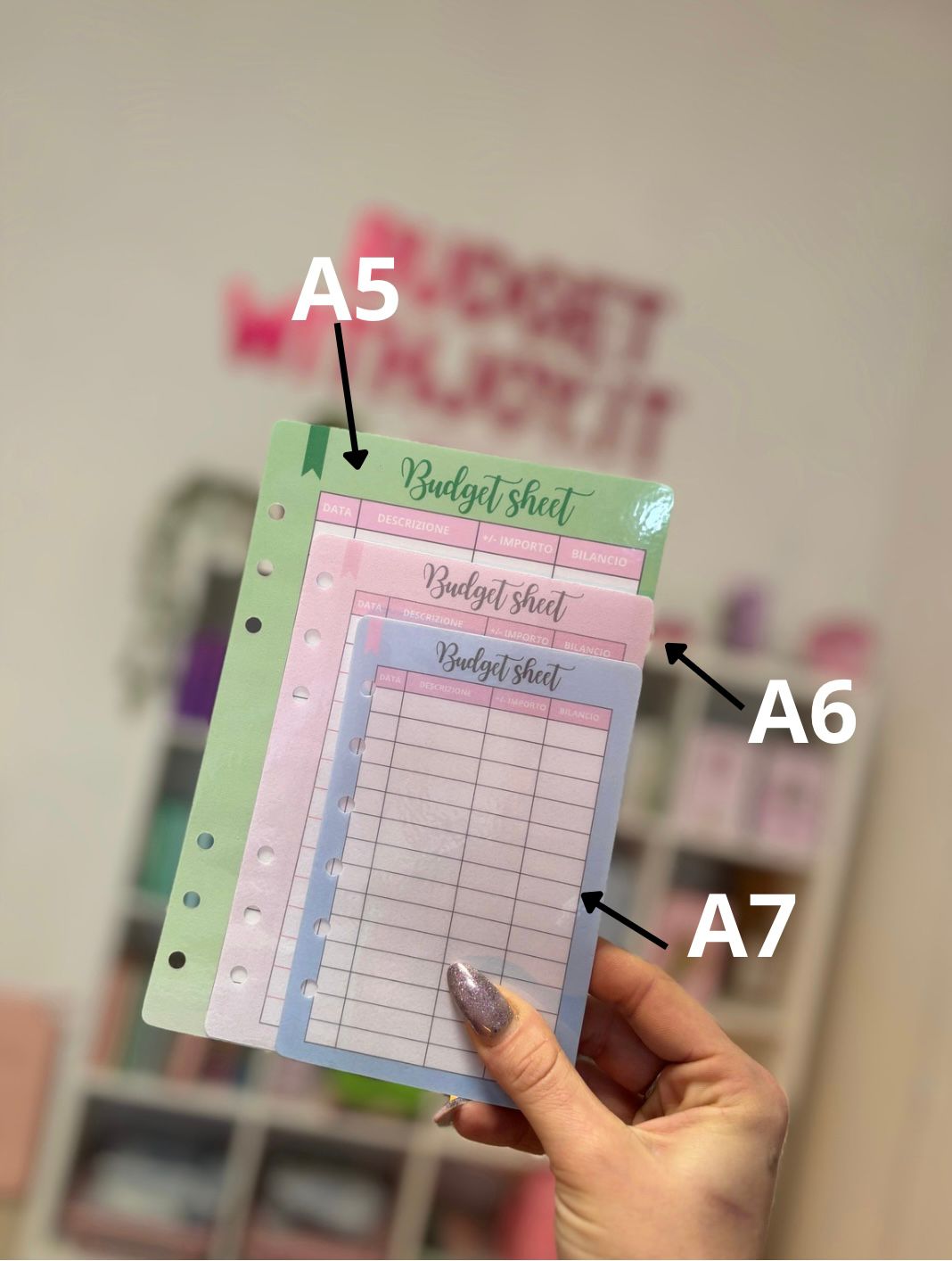 Budget Sheet/Tracker