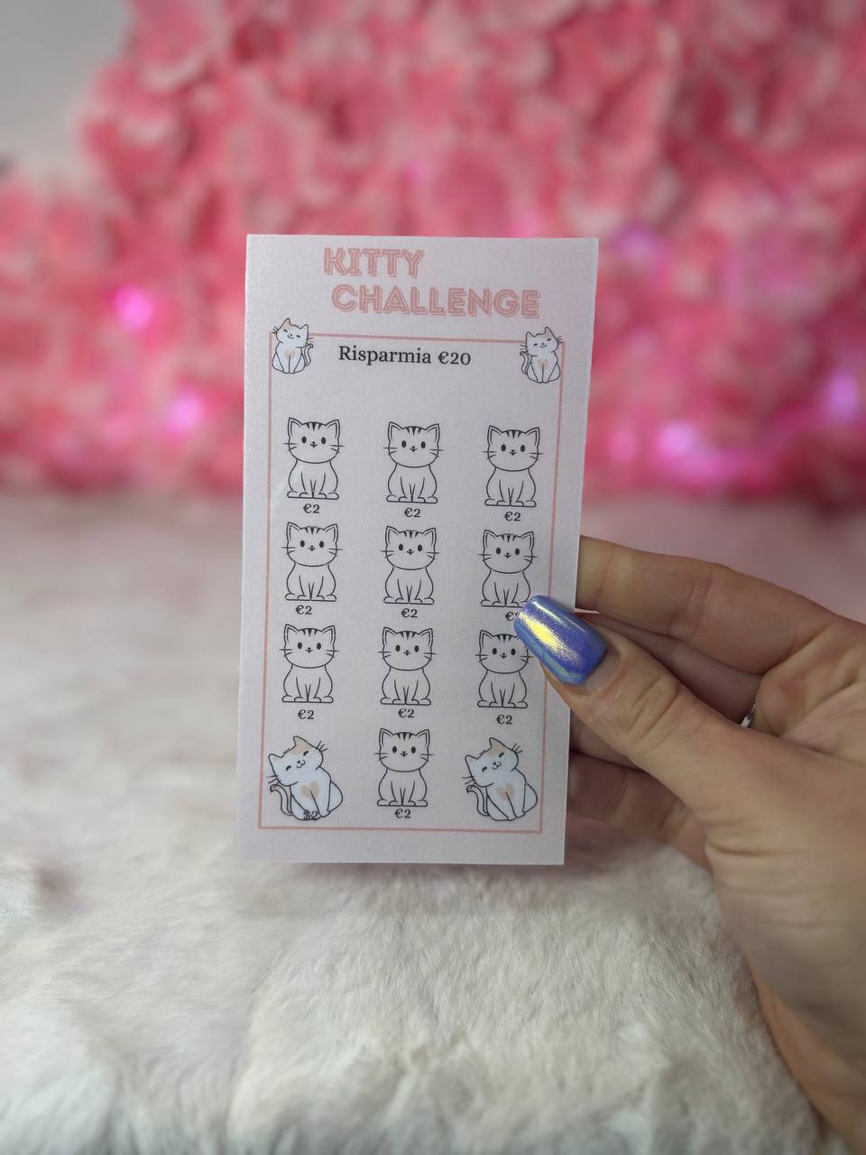 Challenge Micio